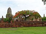 Ayuttaya