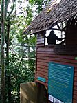 Canopy Walkway