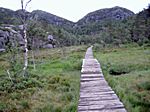 Weg zum Preikestolen