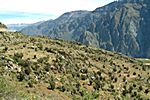 Colca Canyon