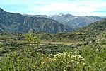 Colca Canyon