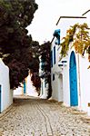 Sidi Bou Said